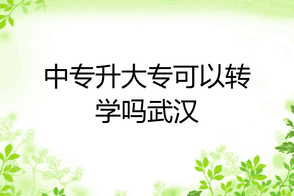 中专升大专可以转学吗武汉