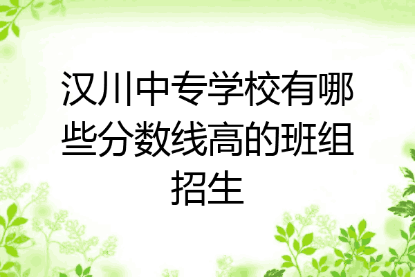 汉川中专学校有哪些分数线高的班组招生
