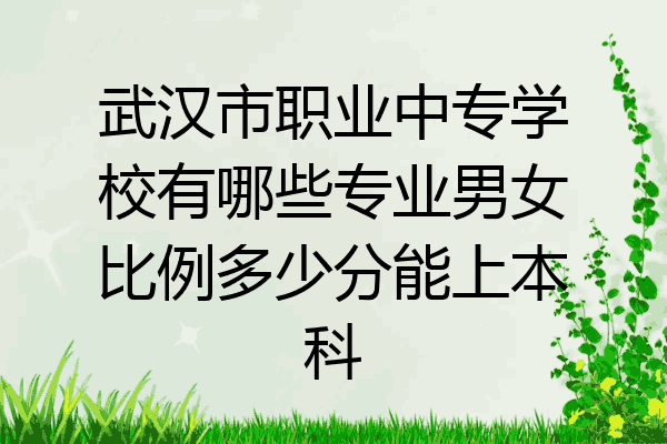 武汉市职业中专学校有哪些专业男女比例多少分能上本科
