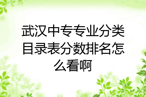 武汉中专专业分类目录表分数排名怎么看啊