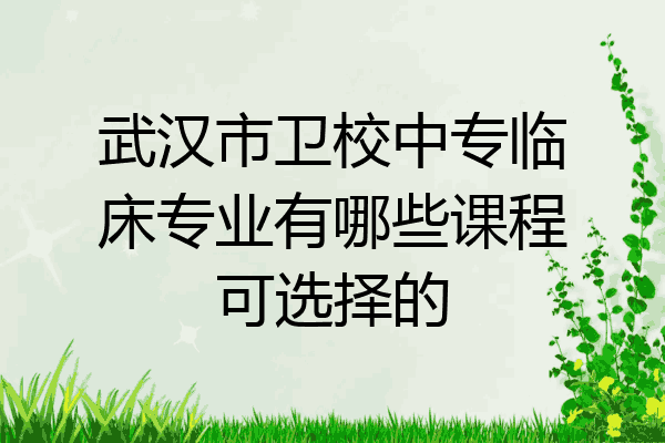 武汉市卫校中专临床专业有哪些课程可选择的