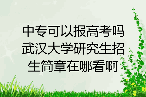 中专可以报高考吗武汉大学研究生招生简章在哪看啊