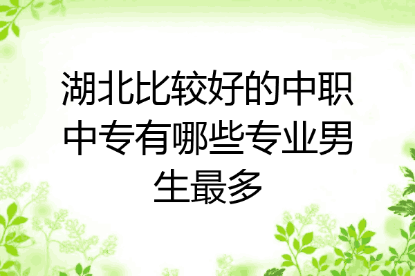 湖北比较好的中职中专有哪些专业男生最多