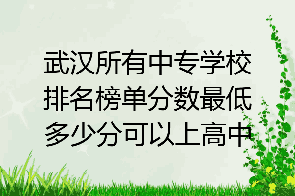 武汉所有中专学校排名榜单分数最低多少分可以上高中