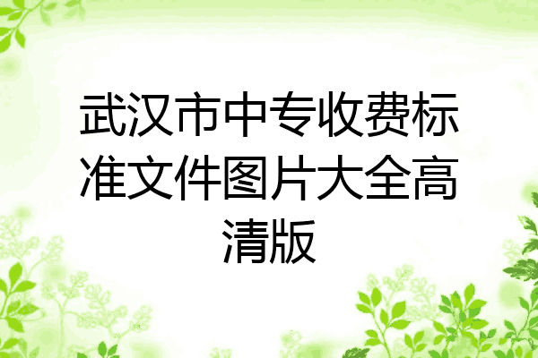 武汉市中专收费标准文件图片大全高清版