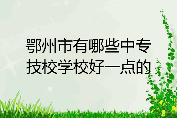 鄂州市有哪些中专技校学校好一点的