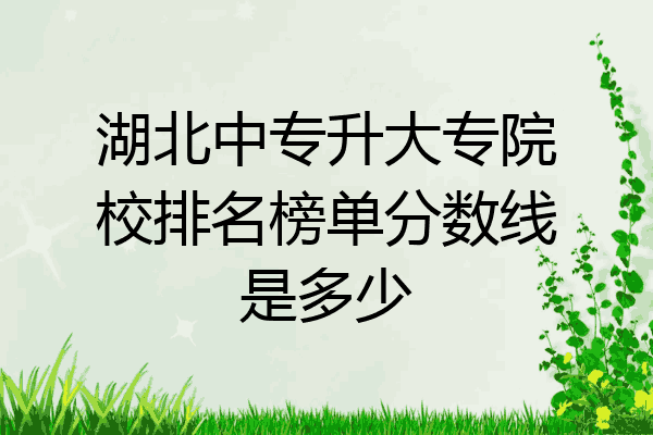 湖北中专升大专院校排名榜单分数线是多少
