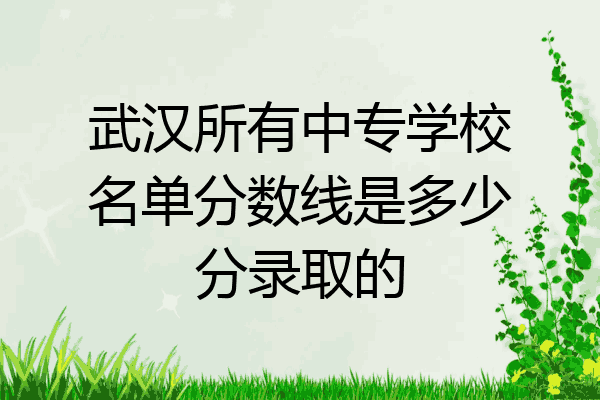 武汉所有中专学校名单分数线是多少分录取的