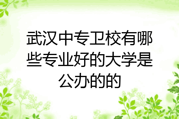 武汉中专卫校有哪些专业好的大学是公办的的