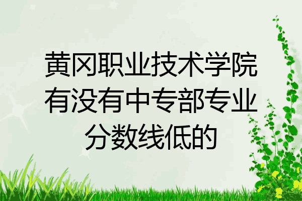 黄冈职业技术学院有没有中专部专业分数线低的