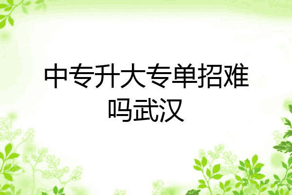 中专升大专单招难吗武汉