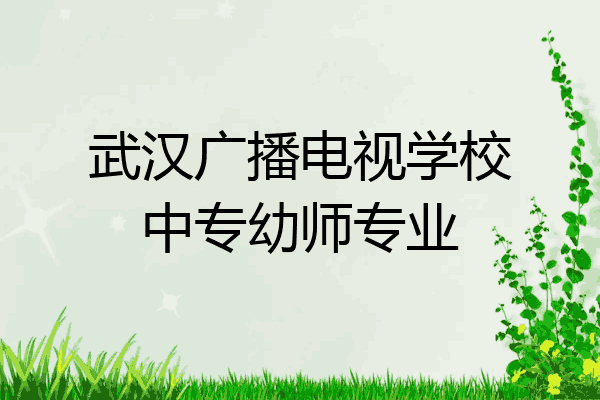 武汉广播电视学校中专幼师专业