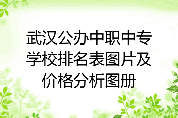 武汉公办中职中专学校排名表图片及价格分析图册