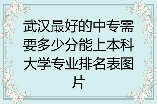 武汉最好的中专需要多少分能上本科大学专业排名表图片
