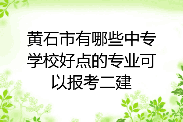 黄石市有哪些中专学校好点的专业可以报考二建