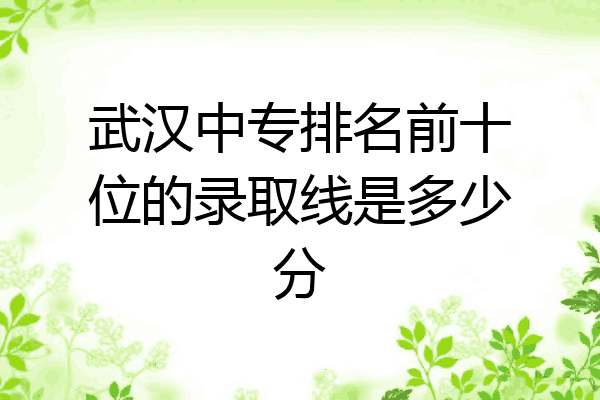 武汉中专排名前十位的录取线是多少分