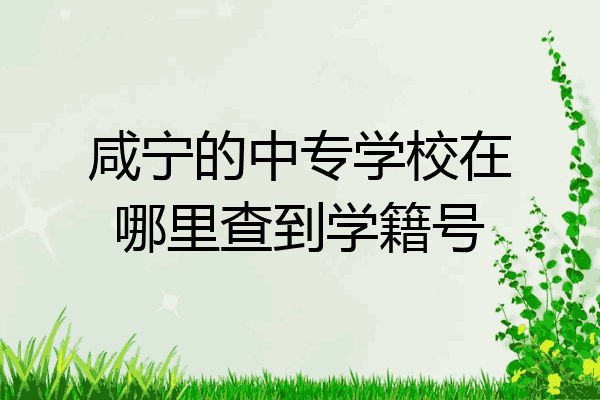 咸宁的中专学校在哪里查到学籍号