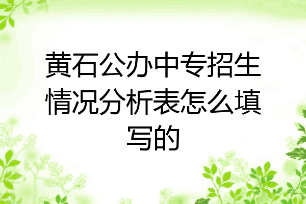 黄石公办中专招生情况分析表怎么填写的