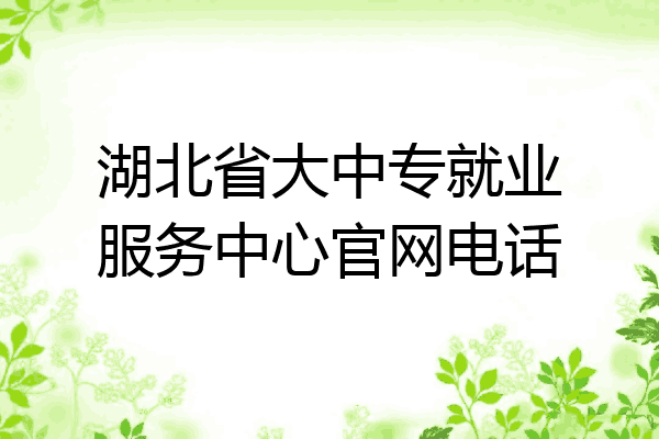 湖北省大中专就业服务中心官网电话