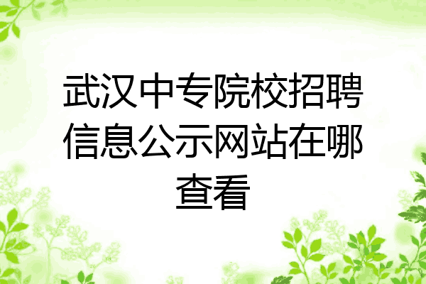 武汉中专院校招聘信息公示网站在哪查看