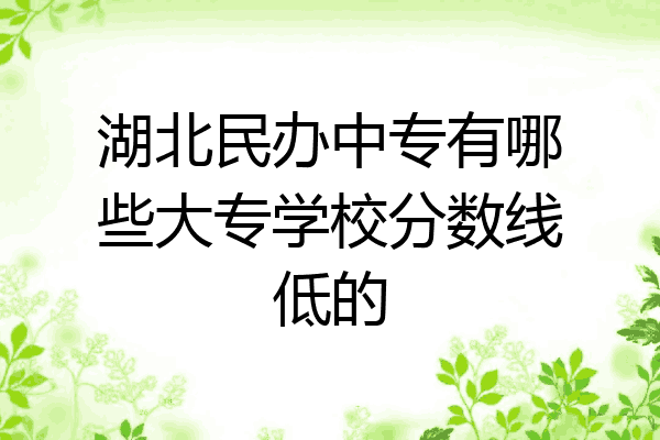 湖北民办中专有哪些大专学校分数线低的