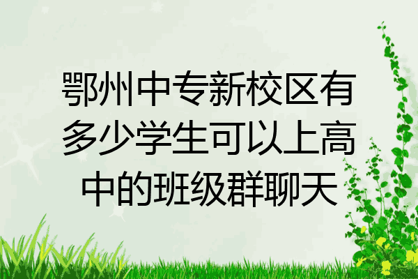 鄂州中专新校区有多少学生可以上高中的班级群聊天