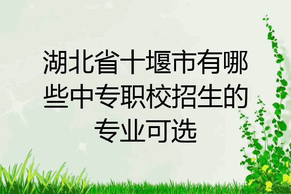 湖北省十堰市有哪些中专职校招生的专业可选