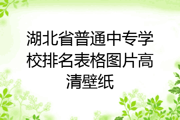湖北省普通中专学校排名表格图片高清壁纸