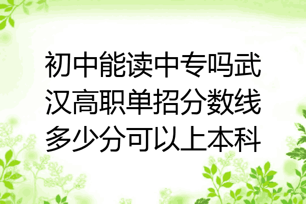 初中能读中专吗武汉高职单招分数线多少分可以上本科