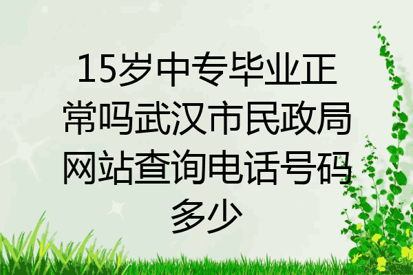 15岁中专毕业正常吗武汉市民政局网站查询电话号码多少