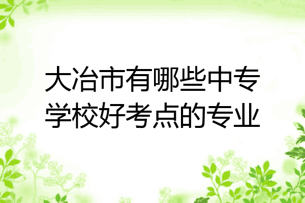 大冶市有哪些中专学校好考点的专业