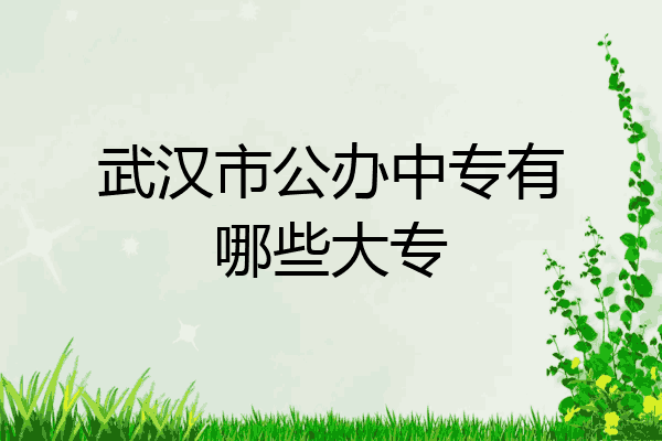 武汉市公办中专有哪些大专