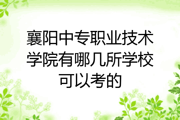 襄阳中专职业技术学院有哪几所学校可以考的