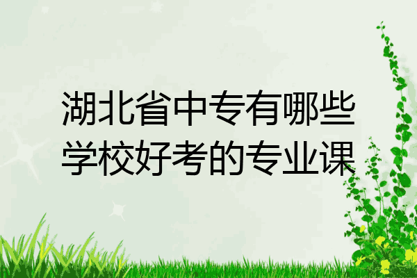 湖北省中专有哪些学校好考的专业课