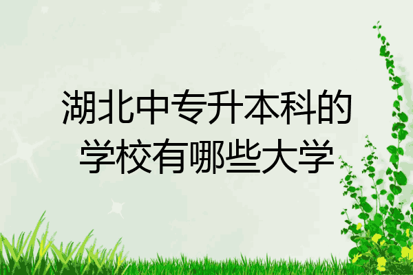 湖北中专升本科的学校有哪些大学