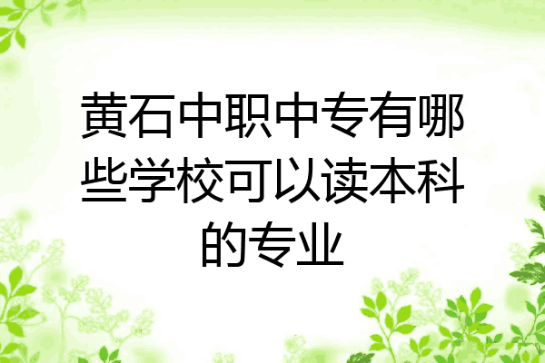 黄石中职中专有哪些学校可以读本科的专业