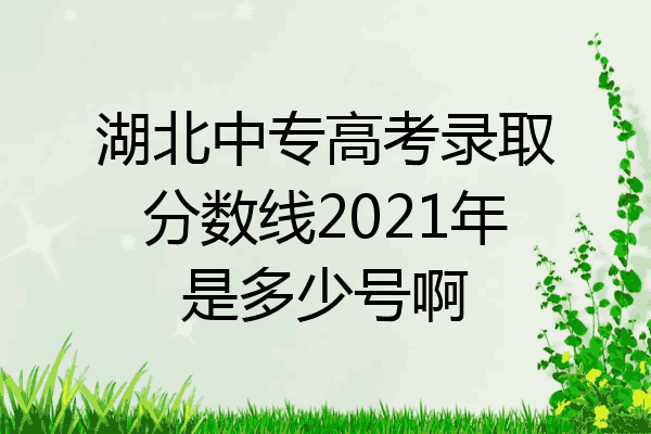 湖北中专高考录取分数线2021年是多少号啊
