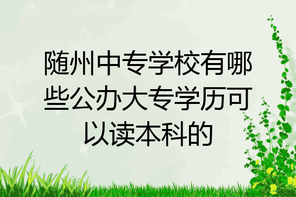 随州中专学校有哪些公办大专学历可以读本科的