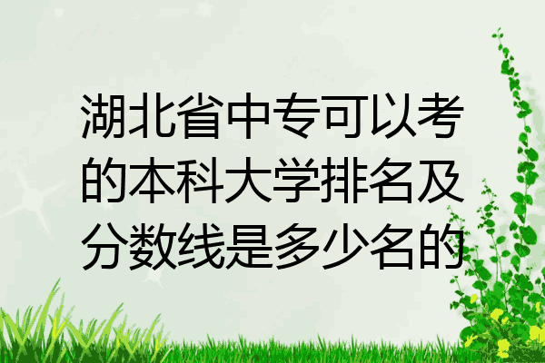 湖北省中专可以考的本科大学排名及分数线是多少名的