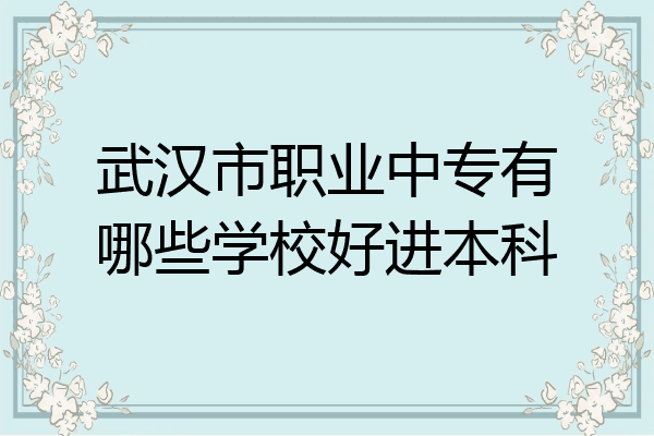 武汉市职业中专有哪些学校好进本科