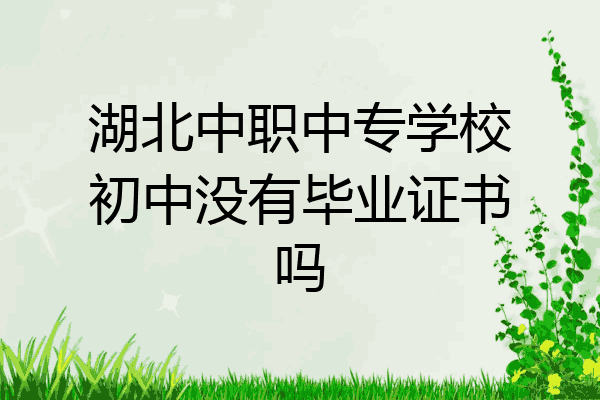 湖北中职中专学校初中没有毕业证书吗