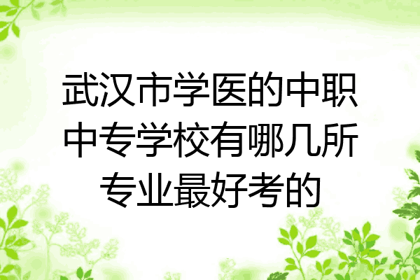 武汉市学医的中职中专学校有哪几所专业最好考的