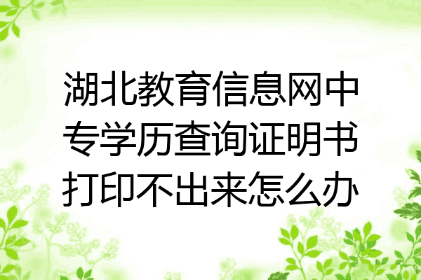 湖北教育信息网中专学历查询证明书打印不出来怎么办