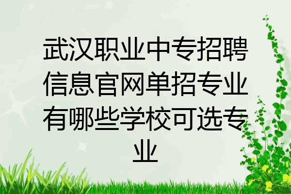 武汉职业中专招聘信息官网单招专业有哪些学校可选专业
