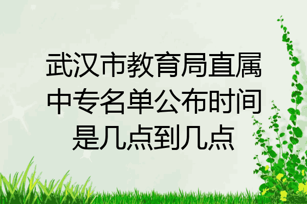 武汉市教育局直属中专名单公布时间是几点到几点