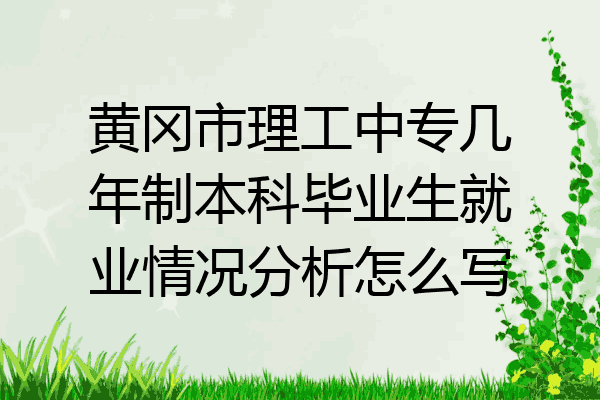 黄冈市理工中专几年制本科毕业生就业情况分析怎么写