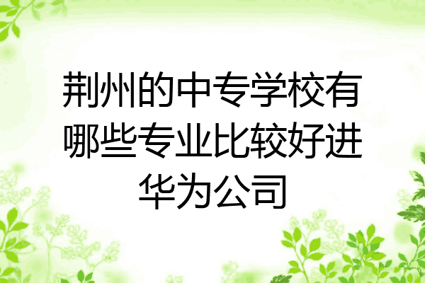 荆州的中专学校有哪些专业比较好进华为公司