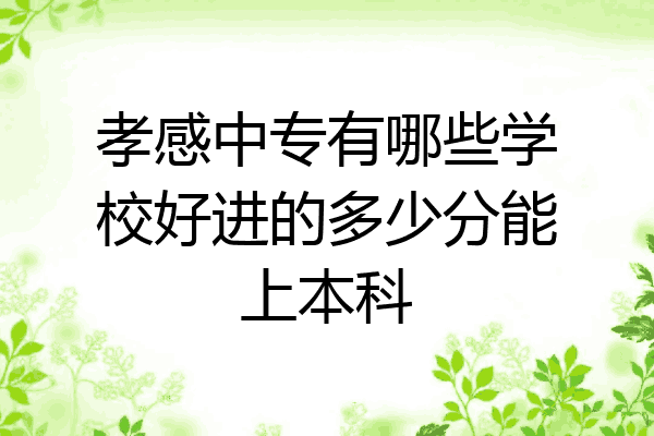 孝感中专有哪些学校好进的多少分能上本科