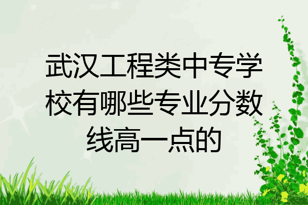 武汉工程类中专学校有哪些专业分数线高一点的