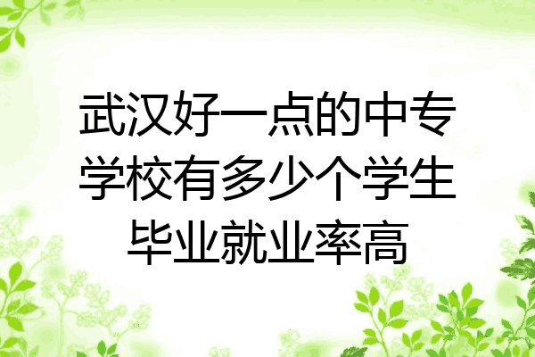 武汉好一点的中专学校有多少个学生毕业就业率高